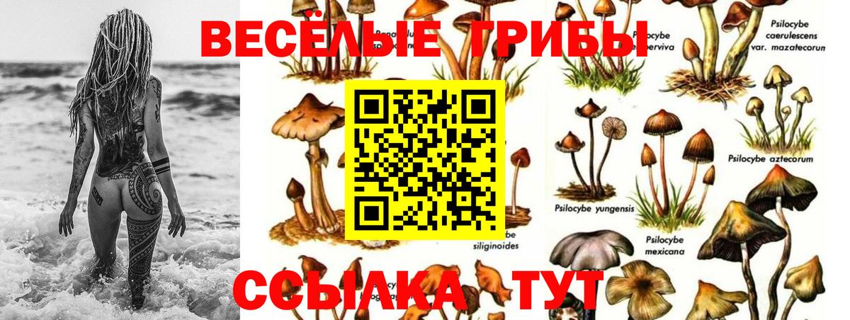 Бугуруслан  Псилоцибиновые грибы мухоморы  Вход с VPN 