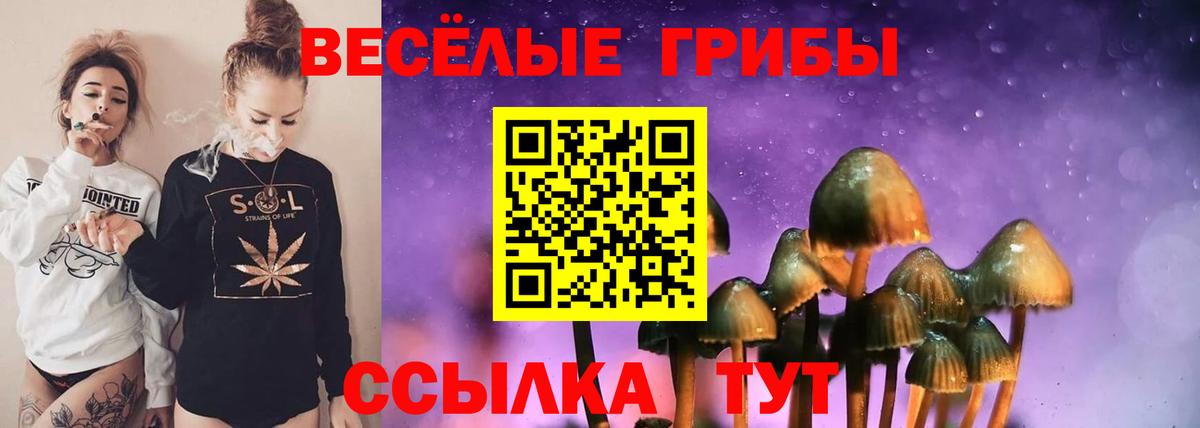 Галлюциногенные грибы мухоморы Бугуруслан